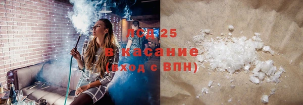 ГАЛЛЮЦИНОГЕННЫЕ ГРИБЫ Баксан